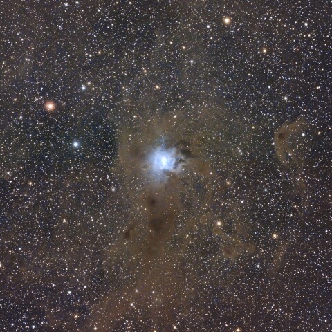 NGC7023_アイリス星雲