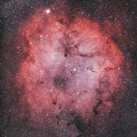IC1396_散光星雲