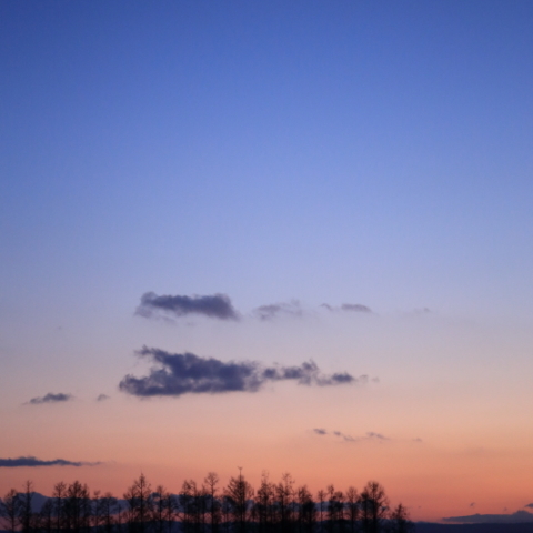 トワイライト　4日月