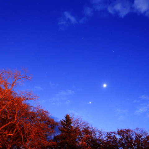晩秋の３惑星接近