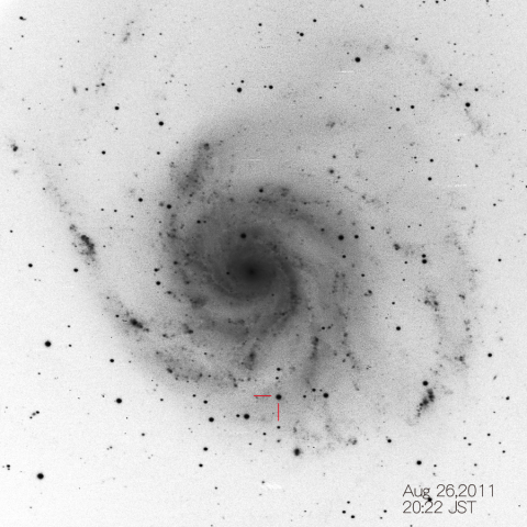 M101に現れた超新星