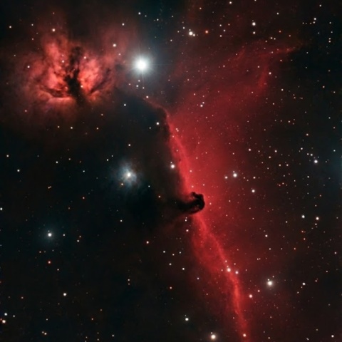 燃える木＆馬頭星雲