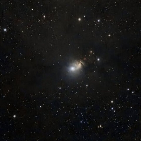 NGC 1333（反射＋散光星雲・ペルセウス座）