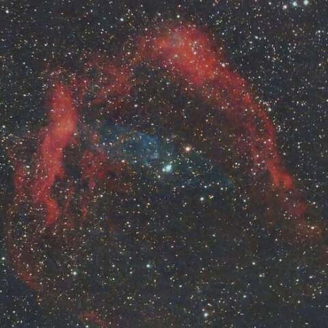 SH2-129 ダイオウイカ星雲