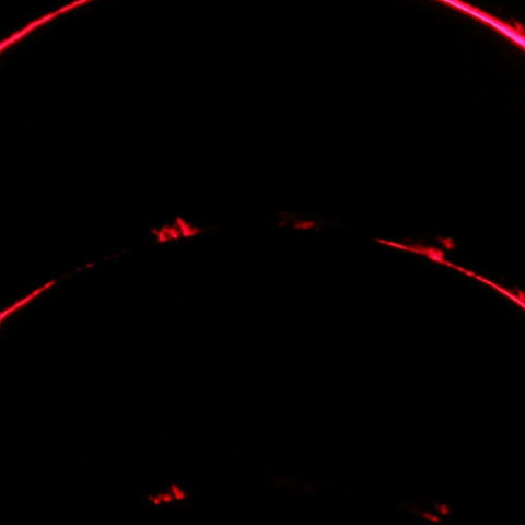 プロミネンスの食