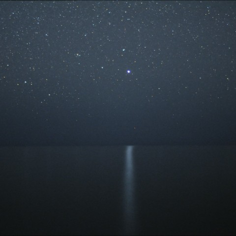 ベガ（こと座）の光の道