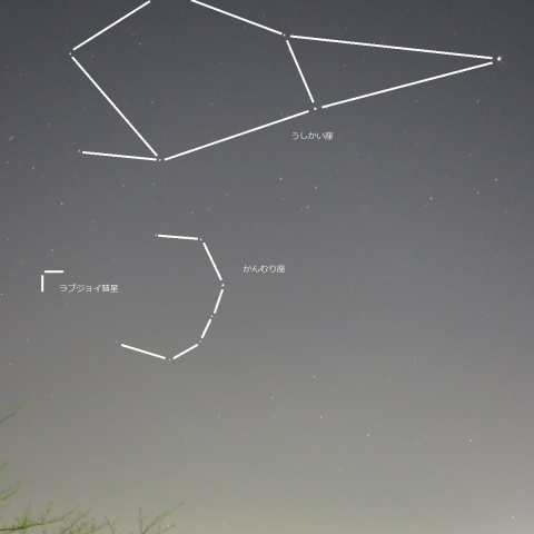 かんむり座とラブジョイ彗星