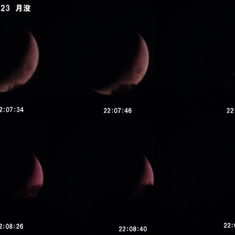 月没
