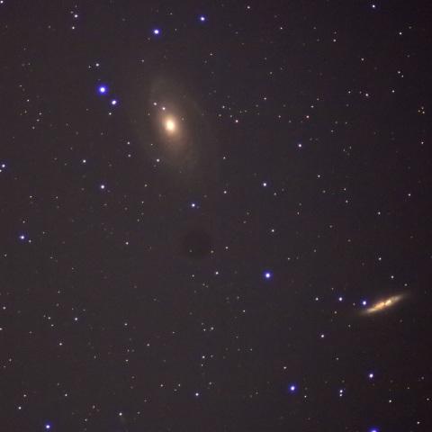 M81M82