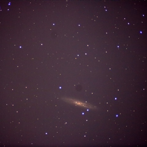 NGC253