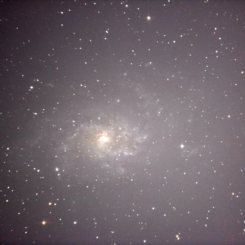 M33