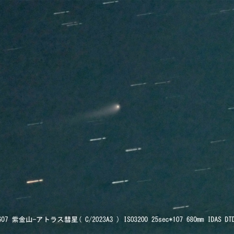 紫金山-アトラス彗星( C/2023A3 )