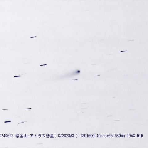 紫金山-アトラス彗星( C/2023A3 )