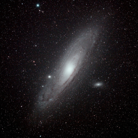 M31