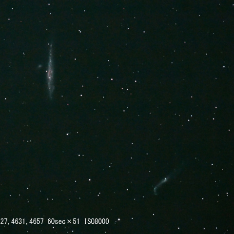 NGC4631等