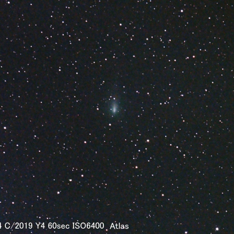 ATLAS彗星　C/2019 Y4