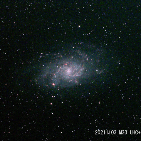 M33