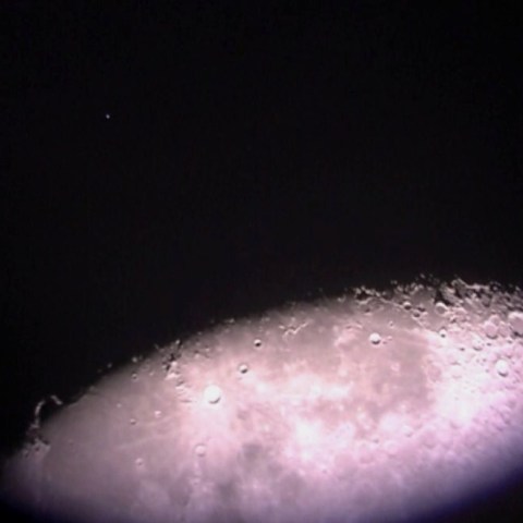 スバル食（アルキオーネとコペルニクス）