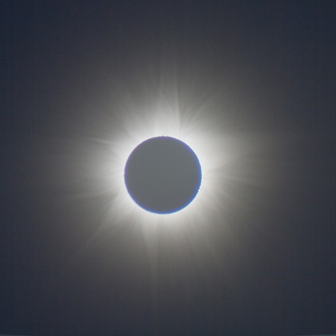 アントキノ、コロナ