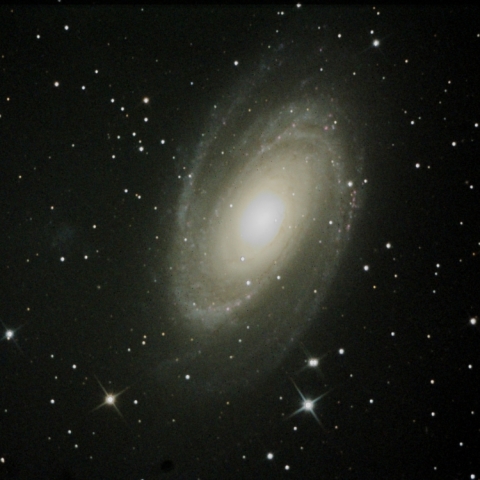 M81
