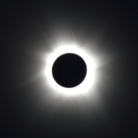 コーラルシーのコロナ