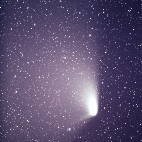 4月13日朝のパンスターズ彗星