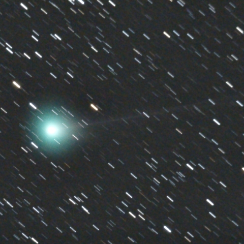 ラブジョイ彗星