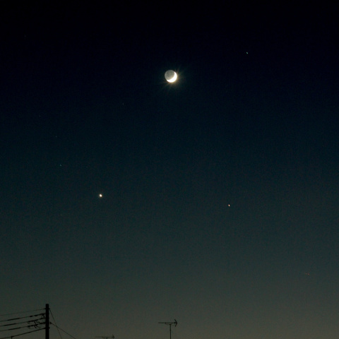 11月3日の大三角