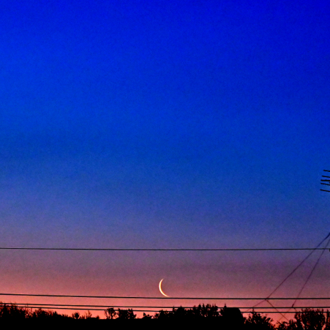 明けの水星、金星と月