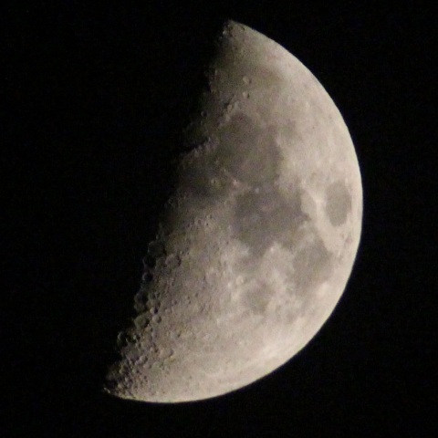 上弦の月