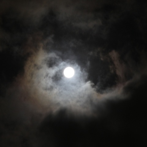 薄雲がかかる満月前の月