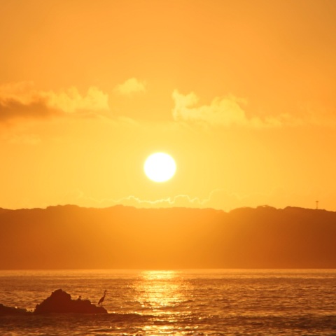 海の朝日
