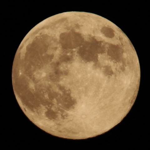 満月～ブルームーン