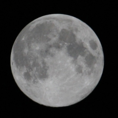 100%満月～ブルームーン