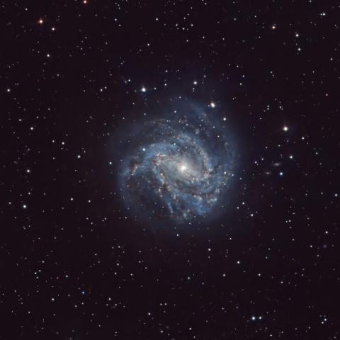 M83