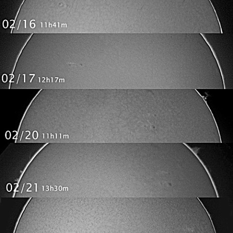 Hα活動域の変化