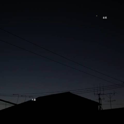 水星と金星の西方最大離角