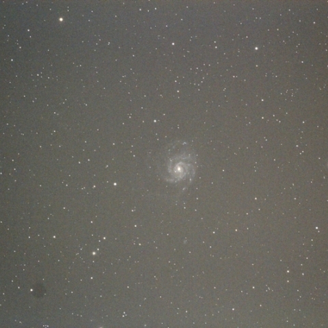 回転花火銀河「M101」