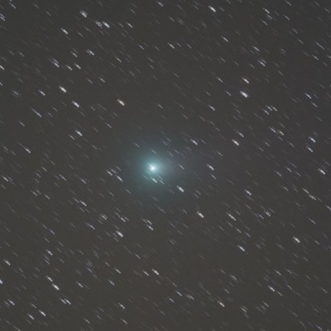 １１月２日のラブジョイ彗星(C/2013 R1) 