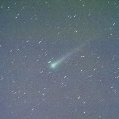 １１月６日未明のアイソン彗星(C/2012S1)