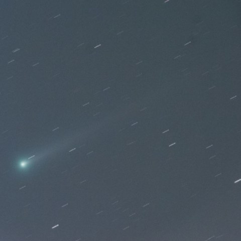 １１月８日未明のアイソン彗星(C/2012S1)