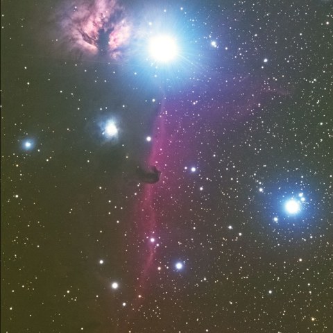 馬頭星雲（Horsehead Nebula)