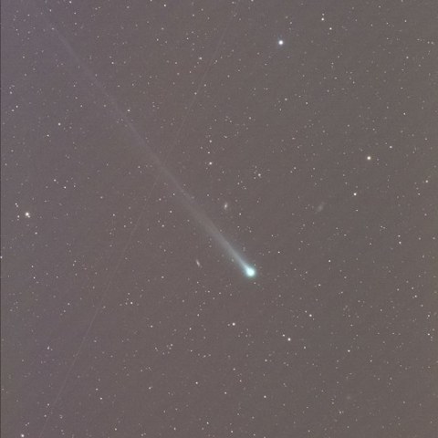 １１月１４日のアイソン彗星