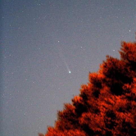 晩秋の紅葉とアイソン彗星