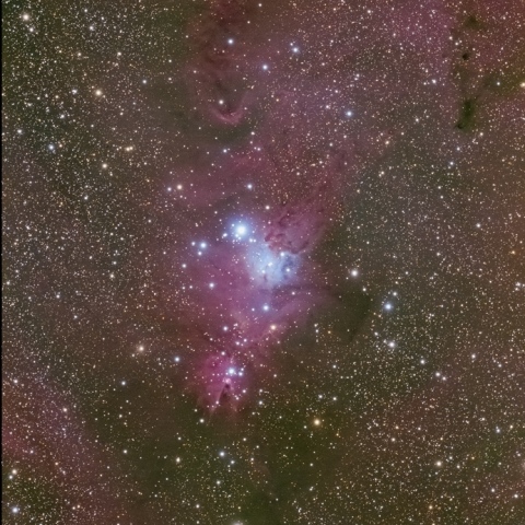 コーン星雲とクリスマスツリー星団