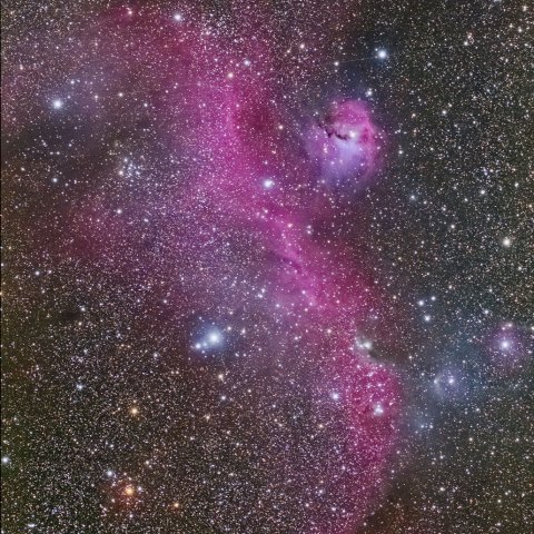 Seagull Nebula