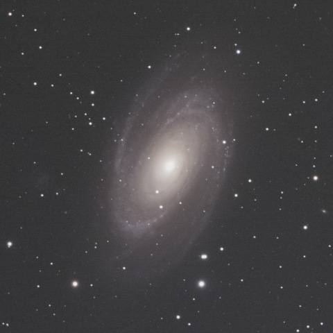 Ｍ８１