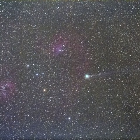 ぎょしゃ座中心部を行くジャック彗星