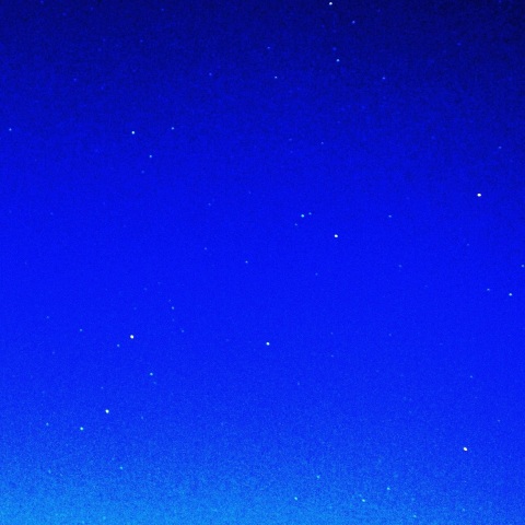 秋の名残の・・・