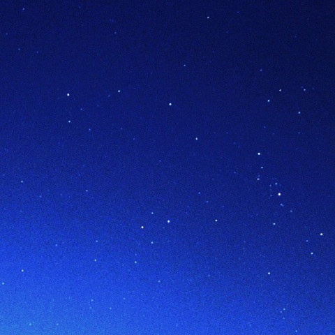 秋の名残の・・・